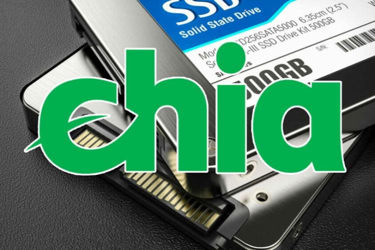 chia coin ssd hdd